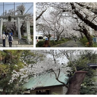 【実施報告】４月７日(日) 新緑の前鳥神社