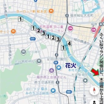 ふくい桜まつりイベントとお知らせ