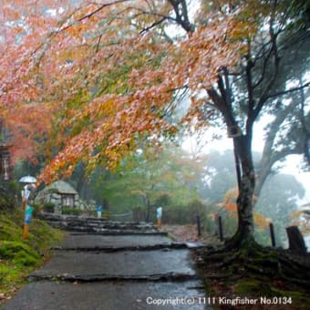 紅葉の神護寺