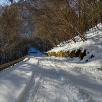 2024.2.10-11 雪の残る二子山