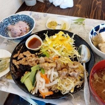 ド健康なビビンバ丼！【福生市・おったま～じゅ】