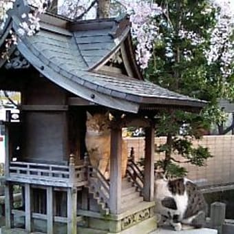 ねこ神社