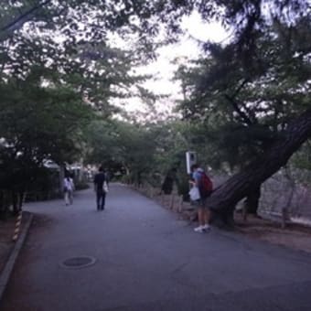 せん妄の患者さんから学ぶ