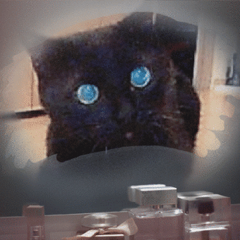 メールに載せたけど・・・×に～＾＾；