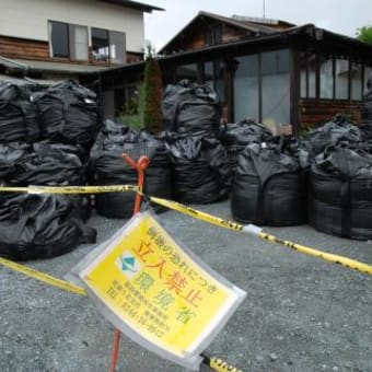 東日本大震災が５年目へ.......　濱田ひろみ