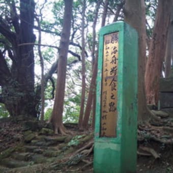 全ては「北の大地」の為？ソリタクの野望！野望は一日して成らず！（どんなやねん！）(笑)