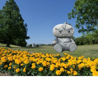 箕面のゆるキャラゆずる君を背景削除して、梅田や万博公園へ、に連れてきました。2025-2-20
