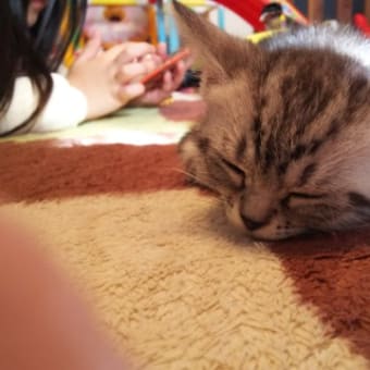 かわいすぎ