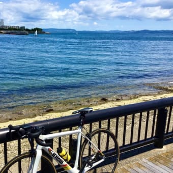 【 三浦半島1周 】　ライド2　126km