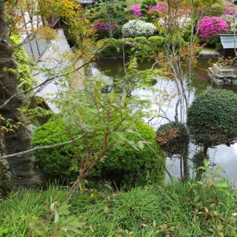 春の花満開　紀州大和の花の寺と神社　2016年4月29日