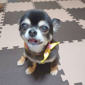 あっと言う間に１週間