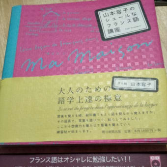 フランス語の参考書…見つけました。