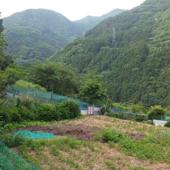 令和7年6月16日・今朝の東祖谷21℃（21.2℃）