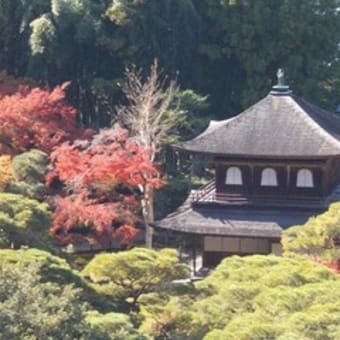 秋の京都旅行⑥