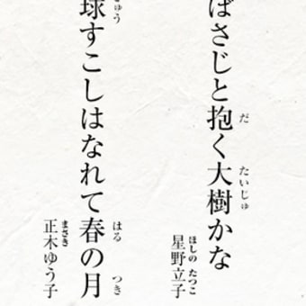 春／今日の俳句　≪第2034号≫