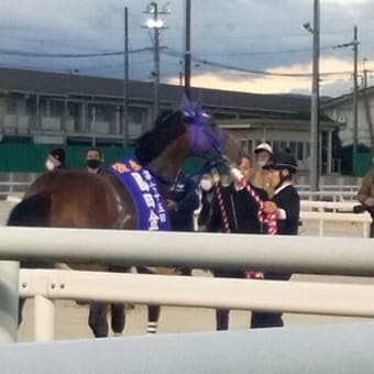 園田金盃、行ってきました2022