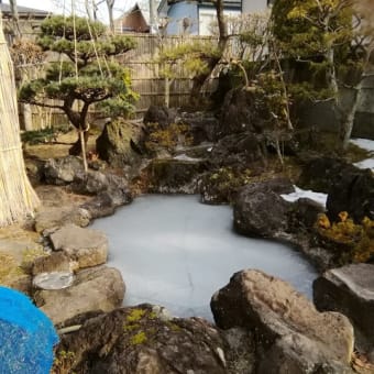 雪のない冬🗻🏂⛄もうひな飾り🎎