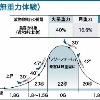 画像一覧 心の平安 人はなぜ苦しむの