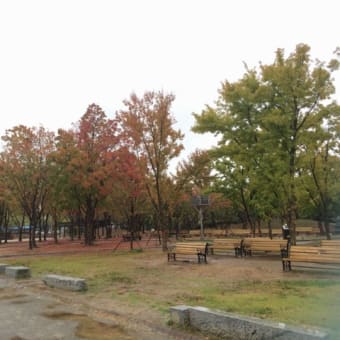 トクヂン公園(덕진 공원)