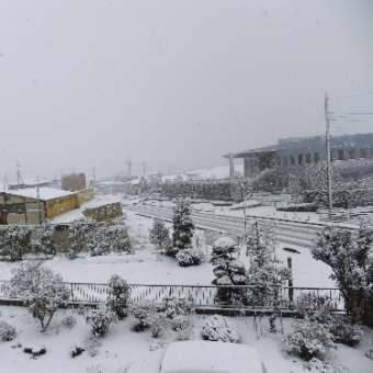 今日の雪