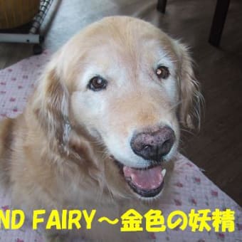 たくさんの感謝を込めて