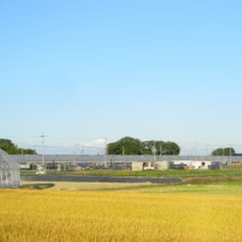 今日は晴れた！