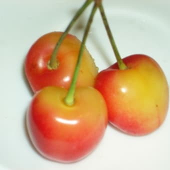 お土産三昧