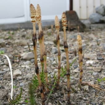 水が無い