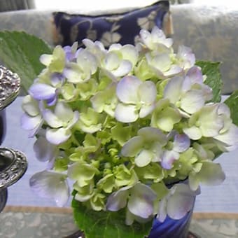 片付けの後は