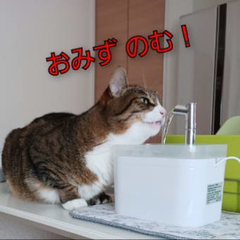 プレゼントとこれからの事