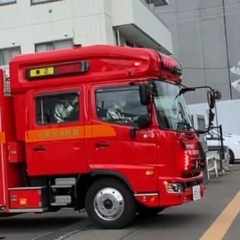 この時、親子でめちゃビクッとなった瞬間！ドラフトシェル水槽車の…