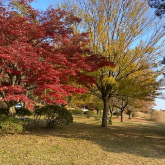 2021年11月ワンコと那須旅行　伊王野〜白河