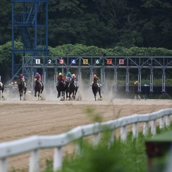佐賀～長崎をウロウロドライブ！（１日目、佐賀編）