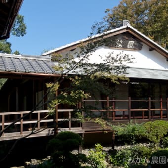 京都府京都市・安楽寺 書院（客殿）
