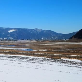 早春来たるか？