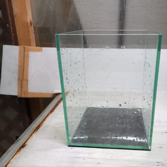 90cm オールガラス水槽 1/23まで