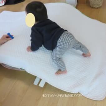 ニド（0歳クラス）（2025年2月）