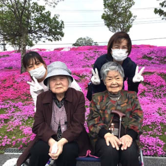 外出レク　～芝桜～