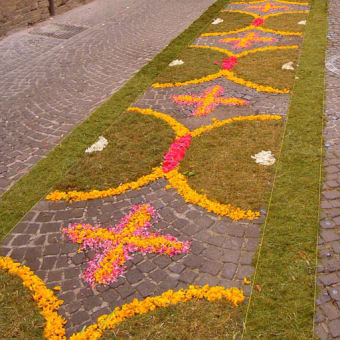 インフィオラータ　INFIORATA　ad URBANIA in ITALIA