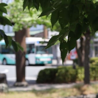 駅前の広場は、　新緑～緑の木々に覆われていました！