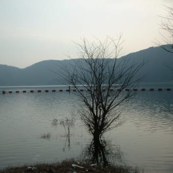 琵琶湖は広いよ