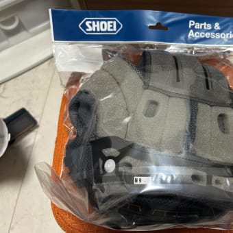 ヘルメットインナー