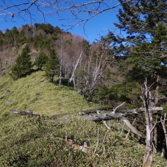 将監小屋ベースキャンプ一日目は青空が広がる竜喰山と大常木山と飛龍山