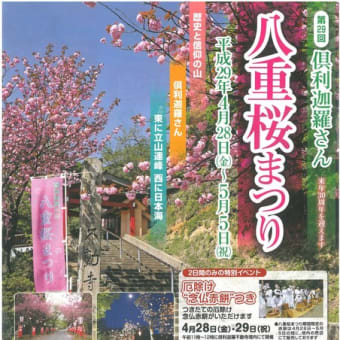 桜　　イベント情報