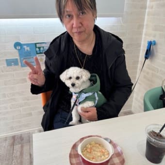ランちゃんとドックカフェに行って来ました　k-hashii-japan　2024年12月15日