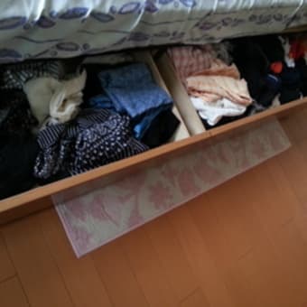 服を片付けてきました。