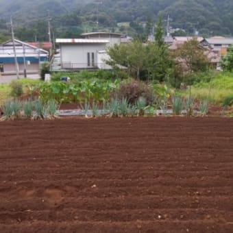 　上野原　雨月の先の　御前山