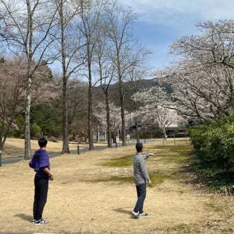 桜満開の入学式