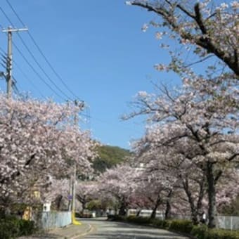名古屋に