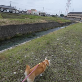 久々の鉄塔コース。。。